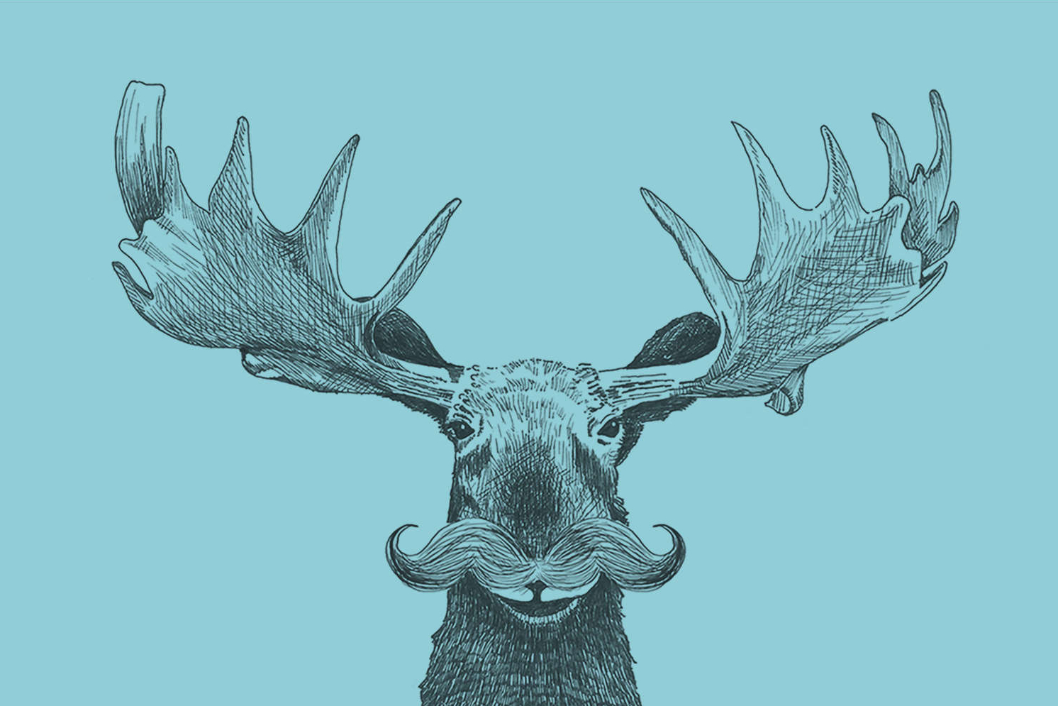 Hand drawn image of a creative moose head facing forward
